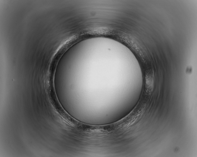 X0000098120396200804181526