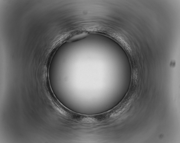 X0000098120397200804181526