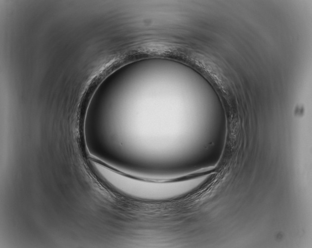 X0000098120399200804181526