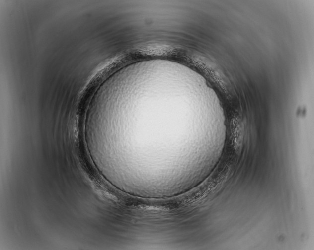 X0000098120400200804181526