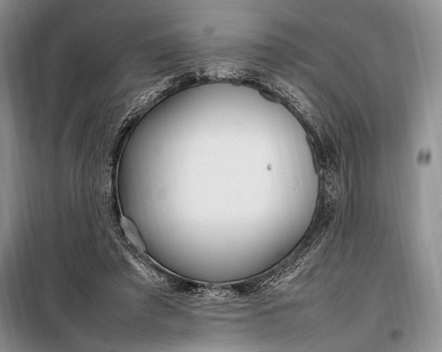 X0000098120401200804181526