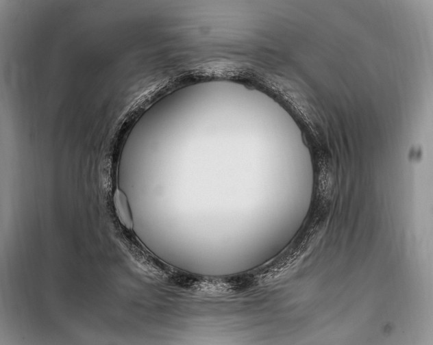 X0000098120403200804181526