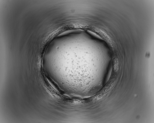 X0000098120405200804181526