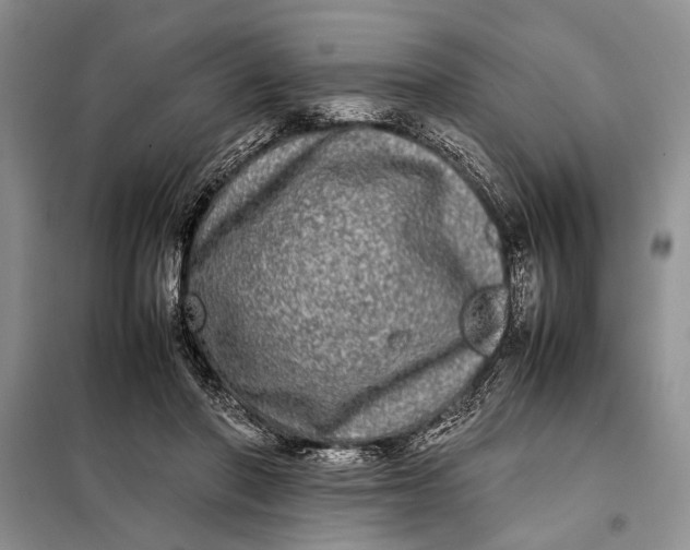 X0000098120406200804181526