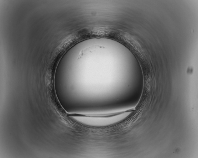 X0000098120407200804181526