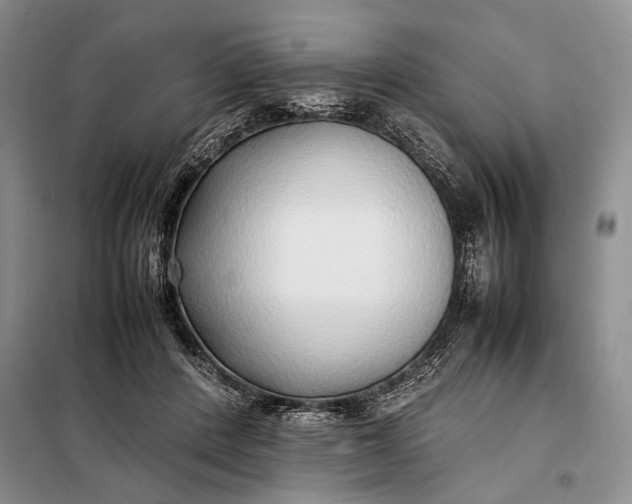 X0000098120408200804181526