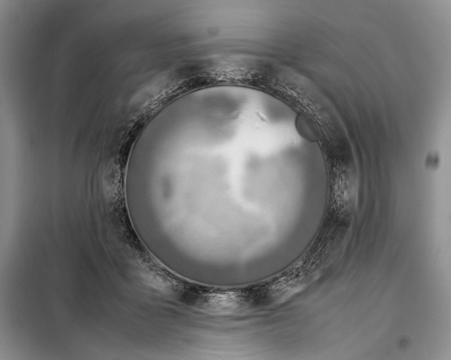 X0000098120411200804181526