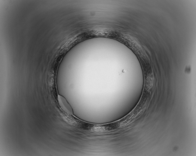 X0000098120413200804181526