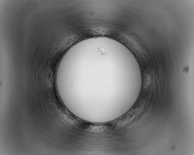 X0000098120414200804181526