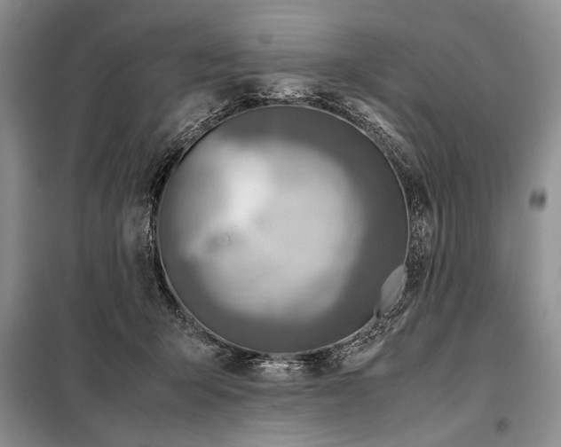 X0000098120415200804181526
