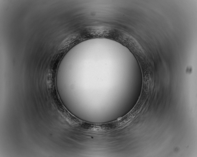 X0000098120416200804181526