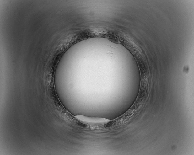 X0000098120417200804181526