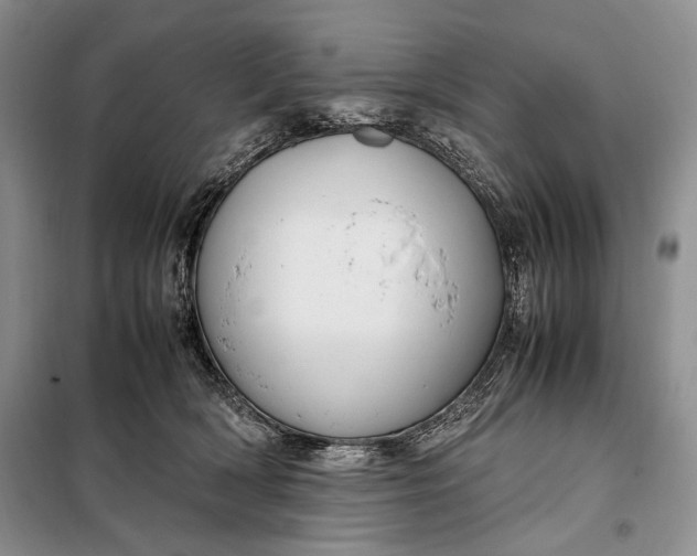 X0000098120418200804181526