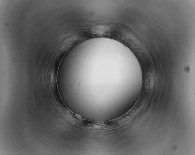 X0000098120420200804181526
