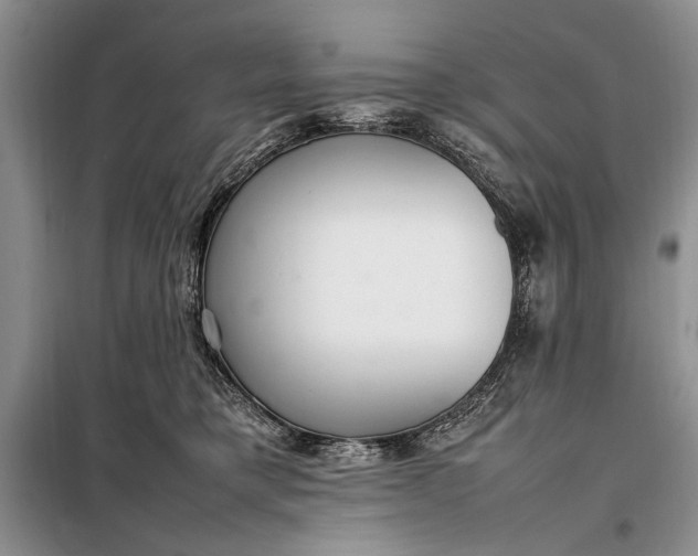 X0000098120421200804181526