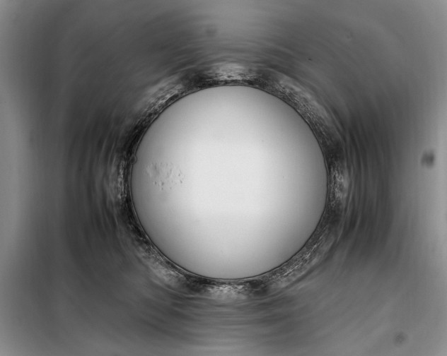X0000098120422200804181526