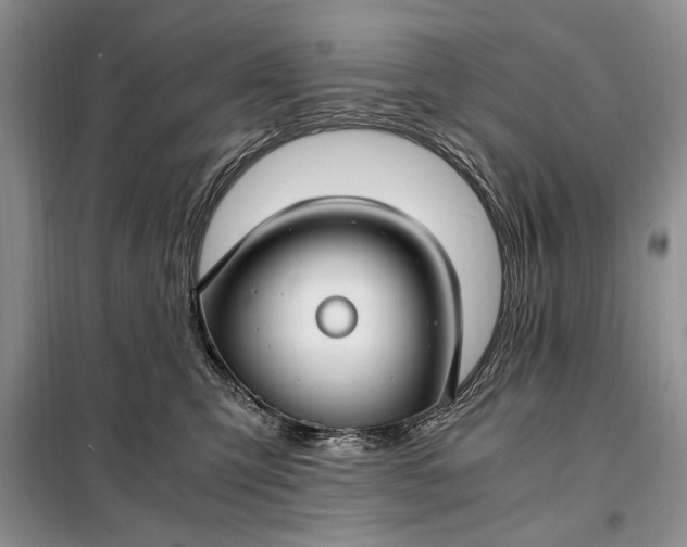 X0000098120423200804181526