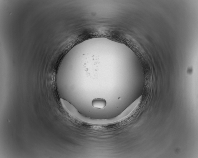 X0000098120425200804181526