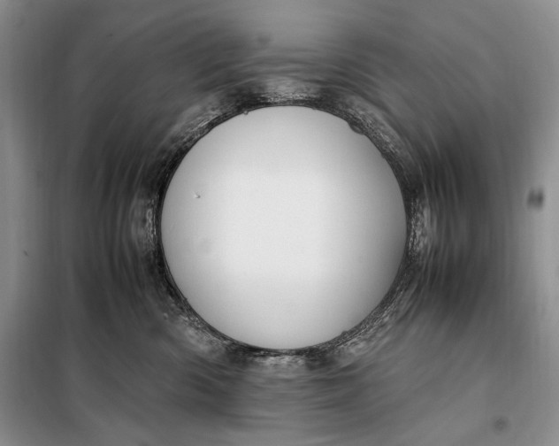 X0000098120426200804181526