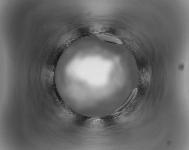 X0000098120427200804181525