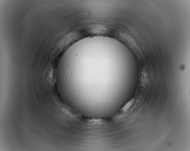 X0000098120428200804181525