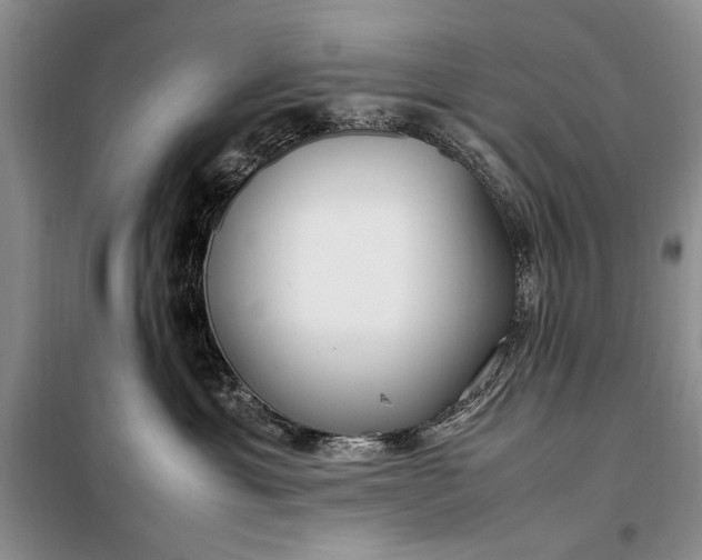 X0000098120429200804181525