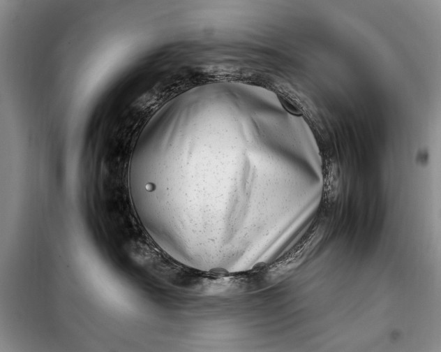 X0000098120430200804181525