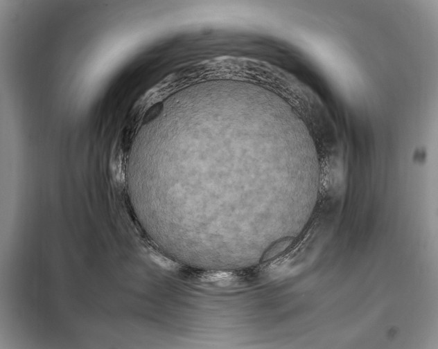 X0000098120431200804181525