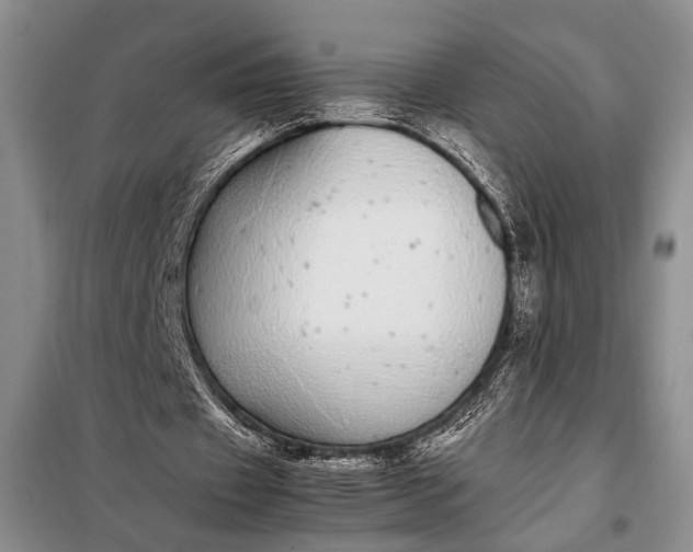 X0000098120433200804181524