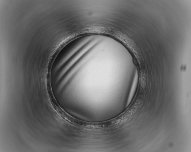 X0000098120434200804181524