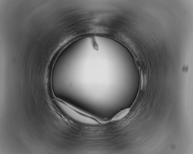 X0000098120435200804181524