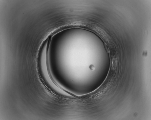 X0000098120436200804181524