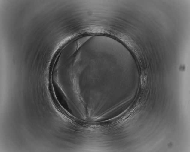 X0000098120438200804181524