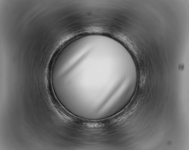 X0000098120439200804181524