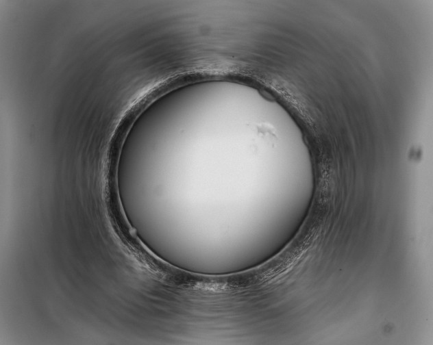 X0000098120440200804181525