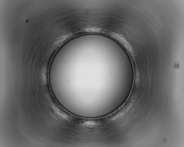 X0000098120441200804181525