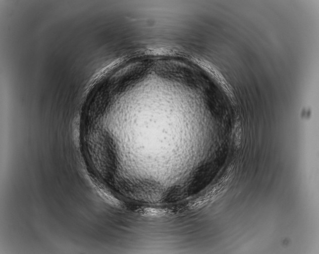X0000098120442200804181525