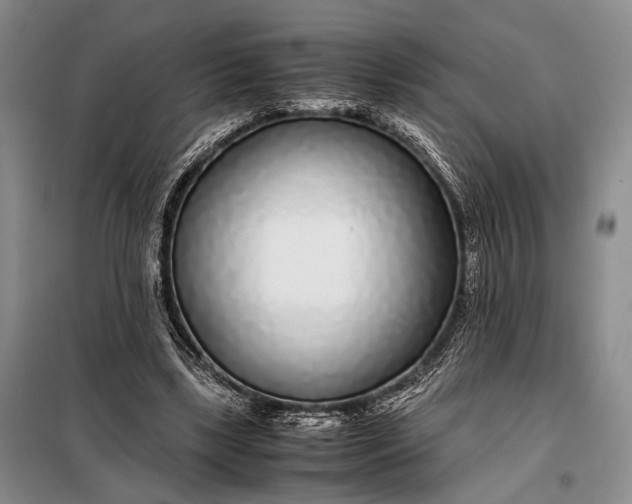 X0000098120443200804181525