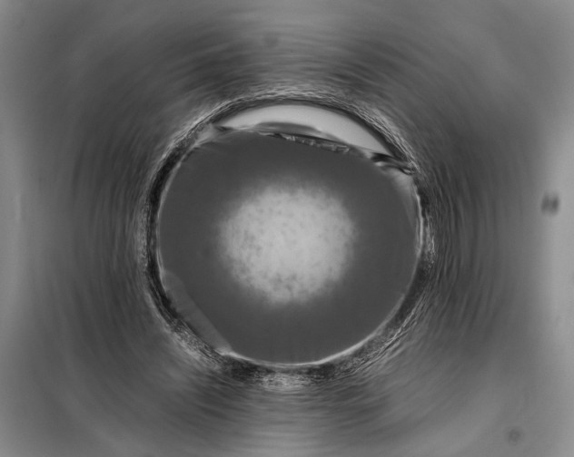 X0000098120444200804181525