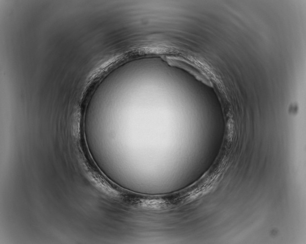 X0000098120446200804181525