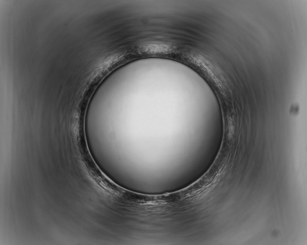 X0000098120447200804181525