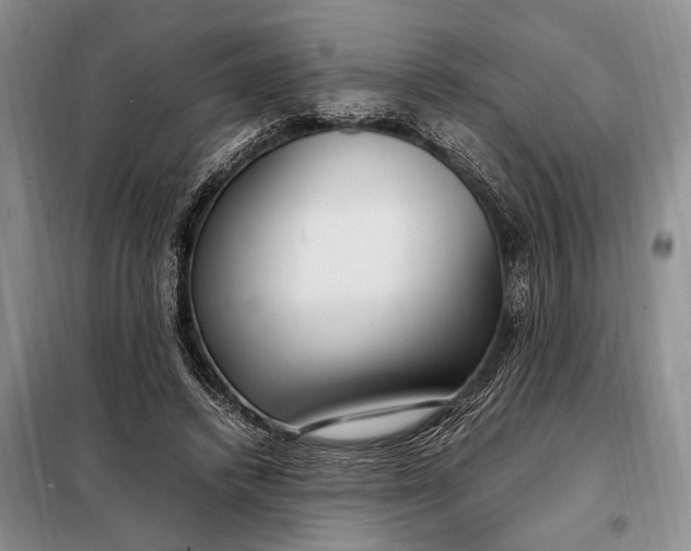 X0000098120448200804181525