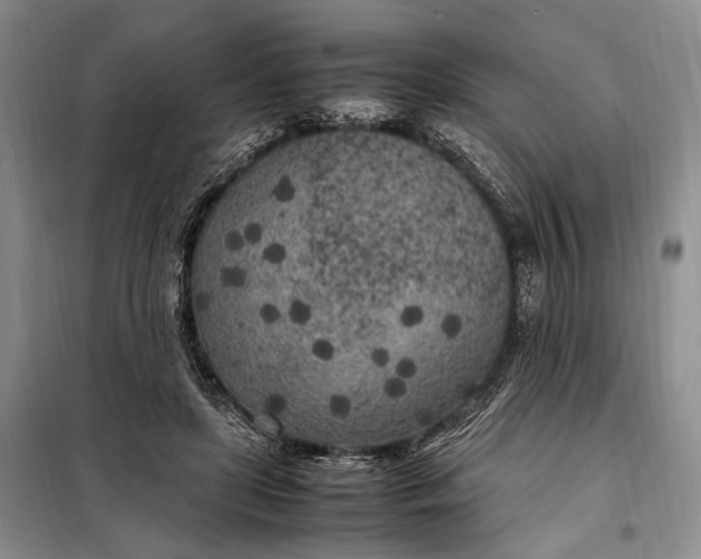 X0000098120451200804181525