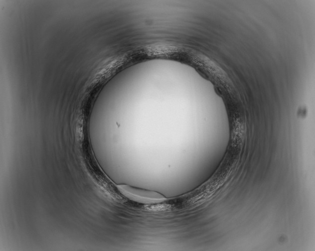 X0000098120452200804181525