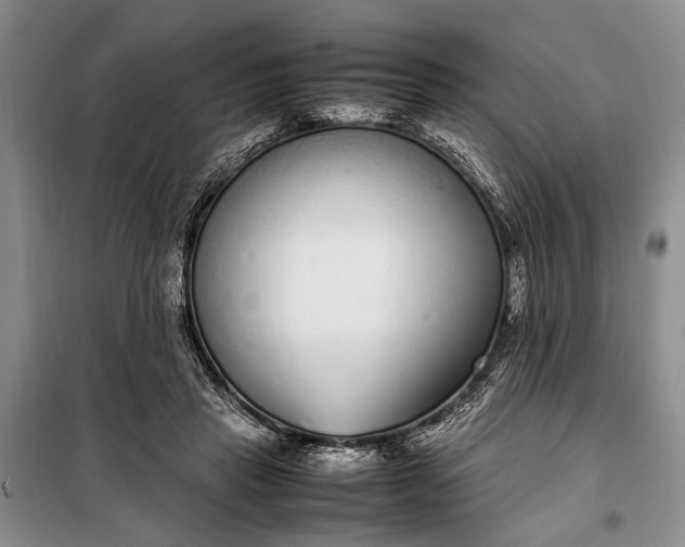 X0000098120453200804181525