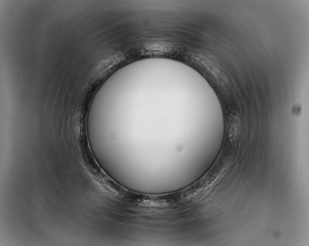 X0000098120455200804181525