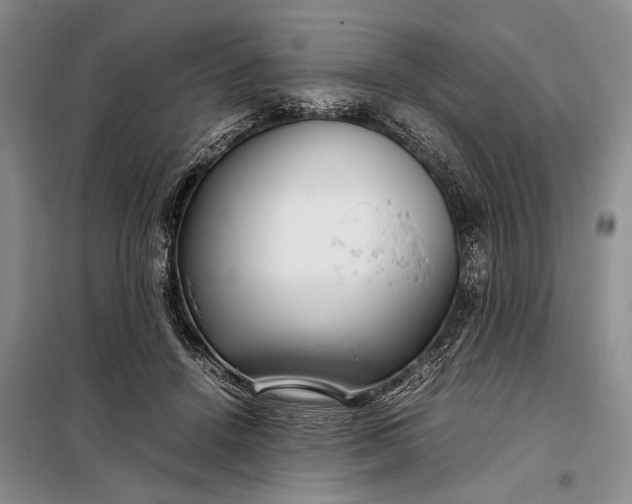 X0000098120456200804181525