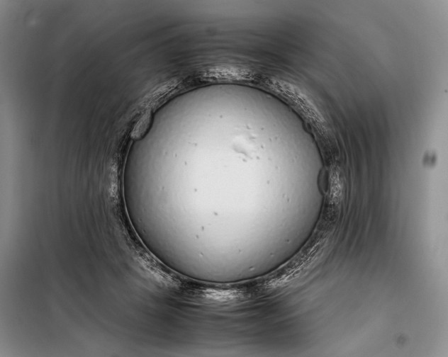 X0000098120457200804181525