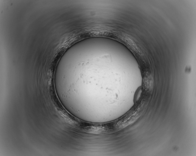 X0000098120458200804181525
