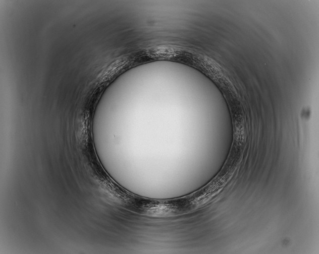 X0000098120460200804181525